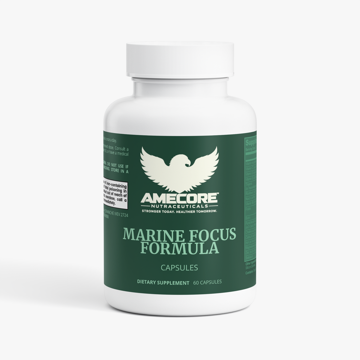MARINE FOCUS
