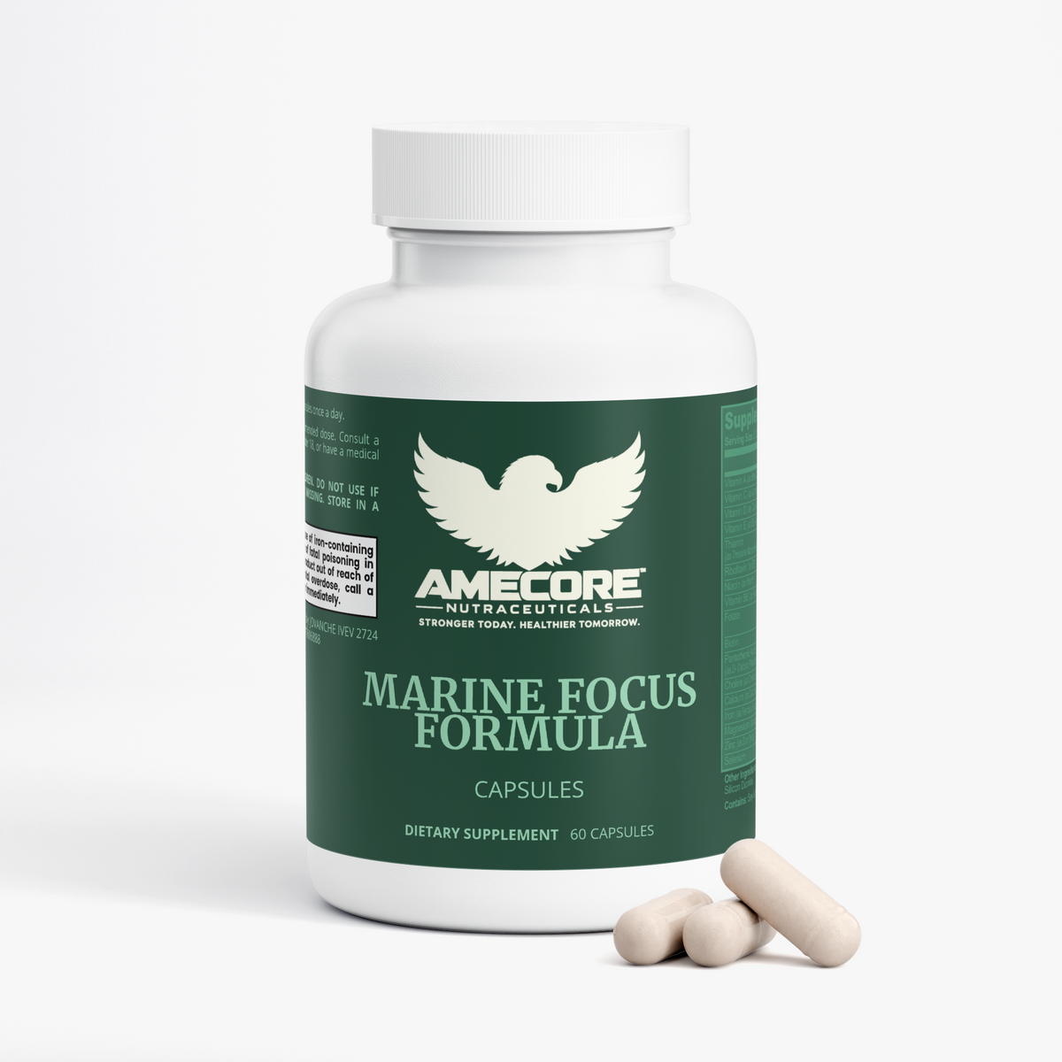 MARINE FOCUS