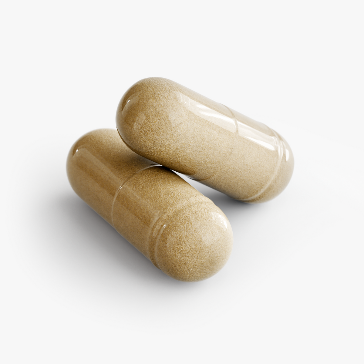 REAL MORINGA